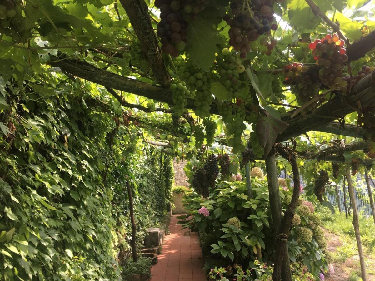 Residence Le Villette Ravello Zewnętrze zdjęcie